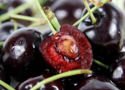 车厘子产地哪里最好吃 进口及国内车厘子盛产的生产地