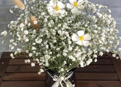 勿忘我怎么养成干花图片 勿忘我鲜花如何制成干花