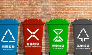 其他垃圾应该投入什么颜色的垃圾桶 其他垃圾的垃圾桶是什么颜色