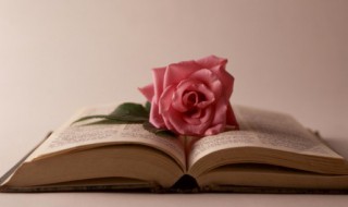 早安心语2023一句话 2023早安心语正能量一句话