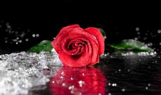 阳台种花能不能放东西 阳台种花可不可以放东西