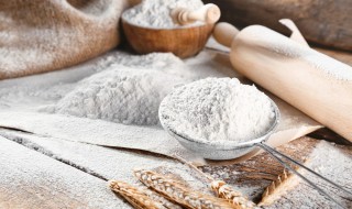 如何区分高筋面粉与低筋面粉 怎样区分高筋面粉与低筋面粉