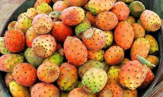 太阳果可以直接吃吗 太阳果能否直接食用