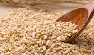 过期燕麦米用途 过期的燕麦米还能干什么