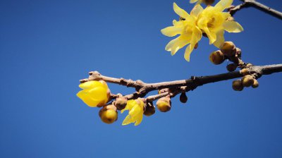 怎样看出天蝎座吃醋了 天蝎男吃醋的表现超准