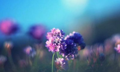 所谓的老好人是什么意思 老好人性格形成的原因