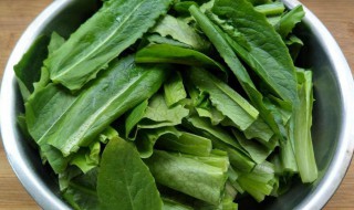 油麦菜食用禁忌 油麦菜有哪些食用禁忌呢