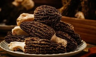 新鲜羊肚菌和什么煲汤比较好呢 新鲜羊肚菌和什么煲汤好喝