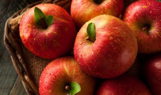 种植苹果适合哪种土壤条件 种植苹果怎么种