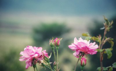 男人不爱了的明显表现是什么 男人不爱你就能看出来表现