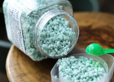 虎皮兰要浇水吗 虎皮兰用什么浇水疯长不止