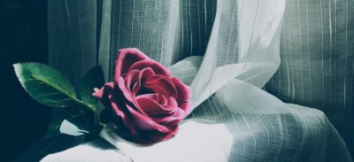 如何区分是恐婚还是不够爱 恐婚是心理问题还是不够喜欢