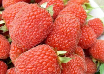 营养价值高的水果排名 最有营养水果排行榜的前四名