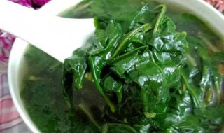 新鲜枸杞叶如何烧好吃 新鲜枸杞叶怎么烧好吃