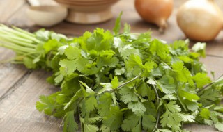 地里香菜冬季储存方法 大量冬季香菜储存方法