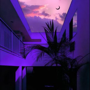 能让双子男遍体鳞伤的星座女 双子座遇见什么星座比较虐