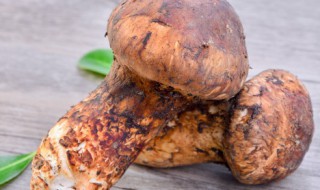 松茸变黄还能吃吗 松茸里面有点黄了