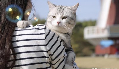 向男朋友认错的话可爱短句 给男朋友撒娇道歉的话