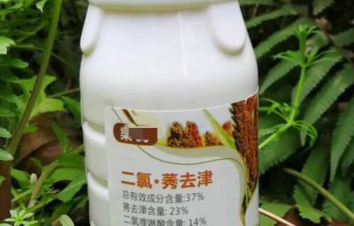 二氯喹啉酸莠去津可以用玉米除草吗 使用对玉米有影响吗