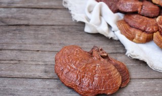 野生灵芝可以直接泡水喝吗 野生灵芝适合泡水饮用吗