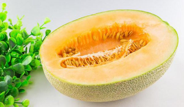 哈密瓜是热性还是凉性