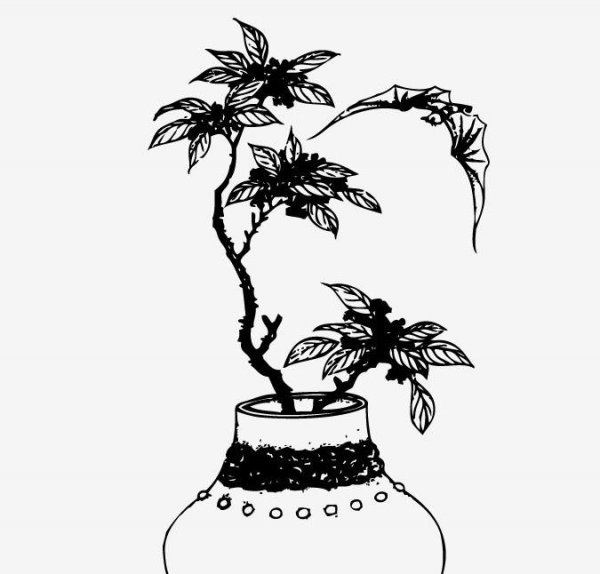 蝙蝠的寓意和象征是什么