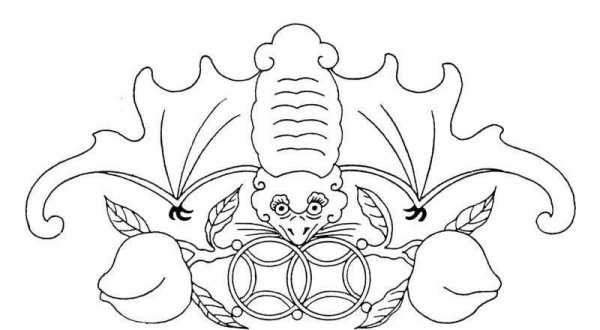 蝙蝠的寓意和象征是什么