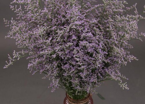 情人草怎么做干花保持颜色