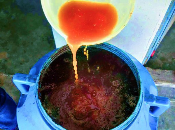 人尿怎么发酵做肥料