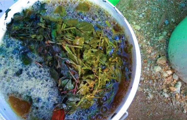 人尿怎么发酵做肥料