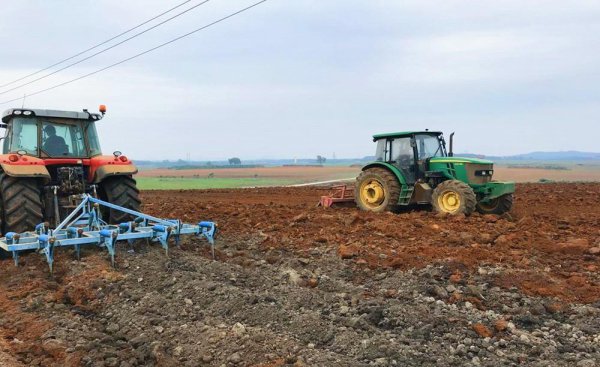 土豆的种植过程4个步骤