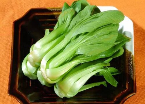 油菜栽培技术