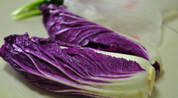 包地种植什么赚钱