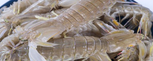 虾蛄快递怎么保鲜