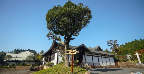 明朝宰相刘伯温是哪里人