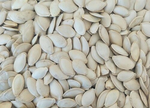 西葫芦籽能吃吗