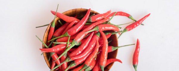 冬天种植辣椒南方可以吗