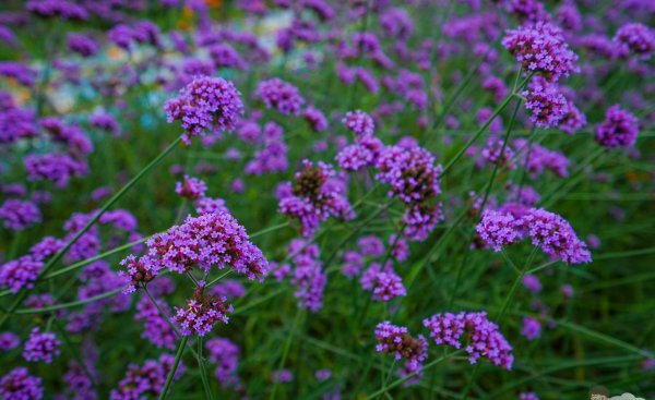 广德市属于哪个省份