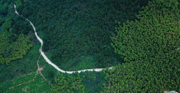 广德市属于哪个省份