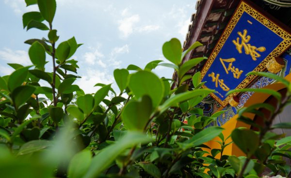 广德市属于哪个省份