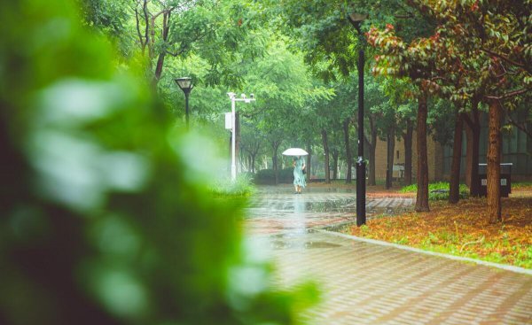 北京的985大学有几所