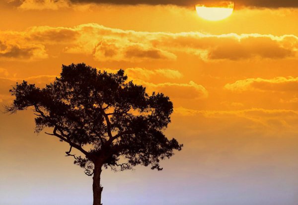 四会是广东哪个市的城市