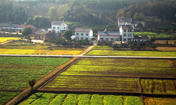 粮价上涨农民会变得有钱吗