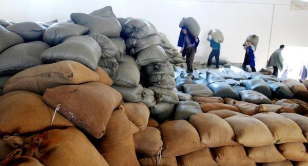 粮价上涨农民会变得有钱吗