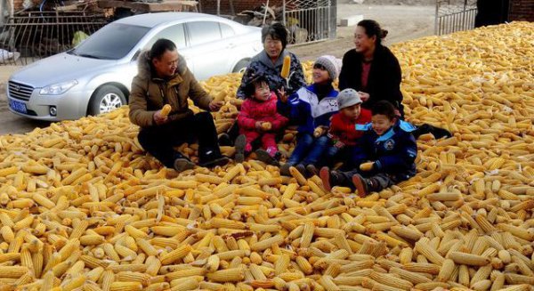 粮价上涨农民会变得有钱吗