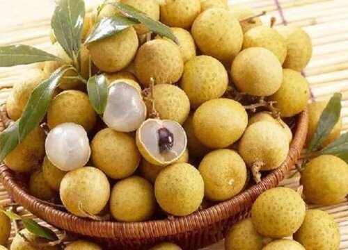 桂圆是热性还是凉性