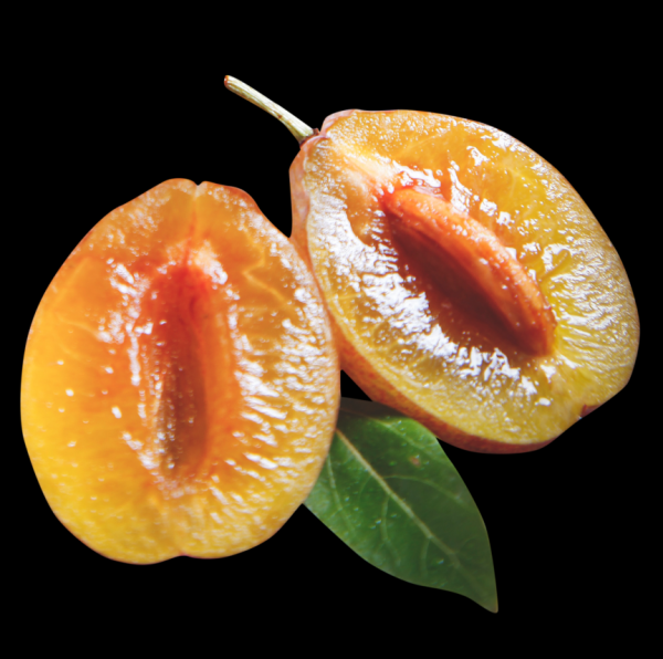 水果排行榜前十名