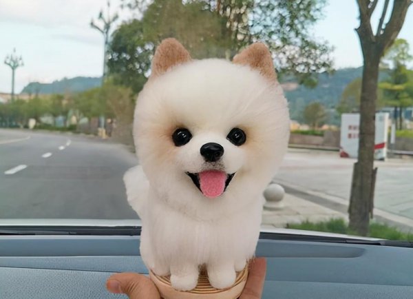 宠物狗名字大全萌萌哒