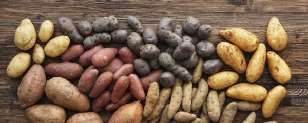 微波炉可以煮番薯汤吗