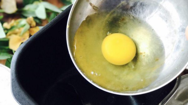 君子兰施肥用鸡蛋快速长得旺盛